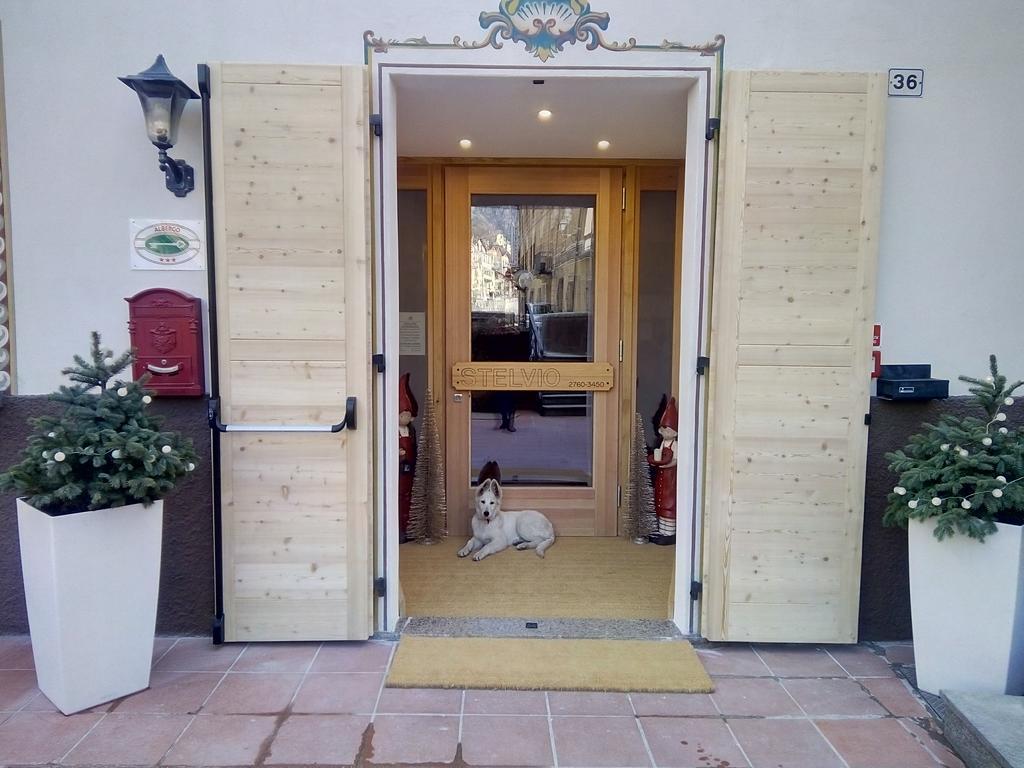Albergo Stelvio Μπόρμιο Εξωτερικό φωτογραφία